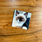2"x2" Custom Photo Magnets
